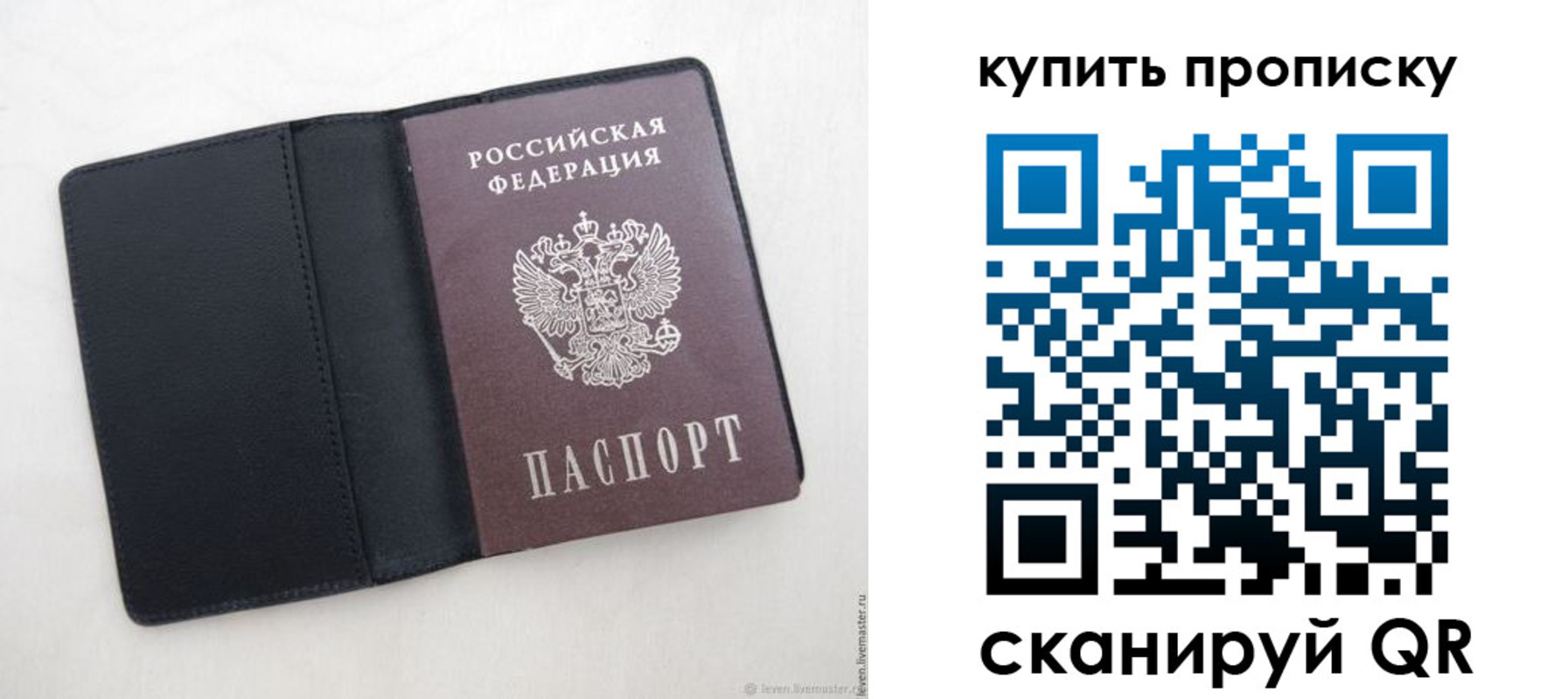 прописка поиск в Каменке